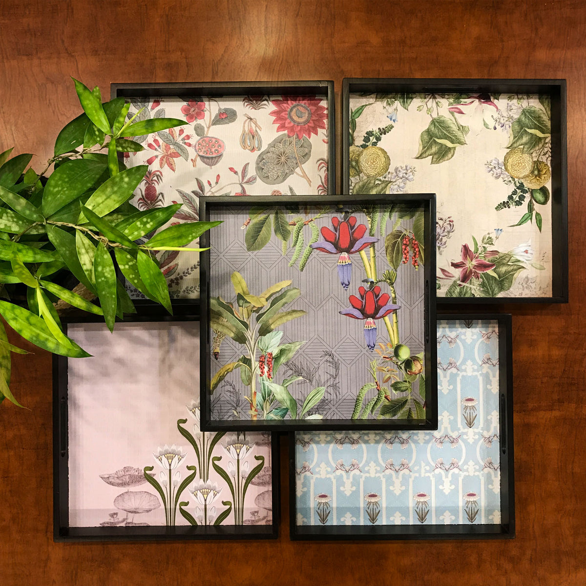 Square Trays
