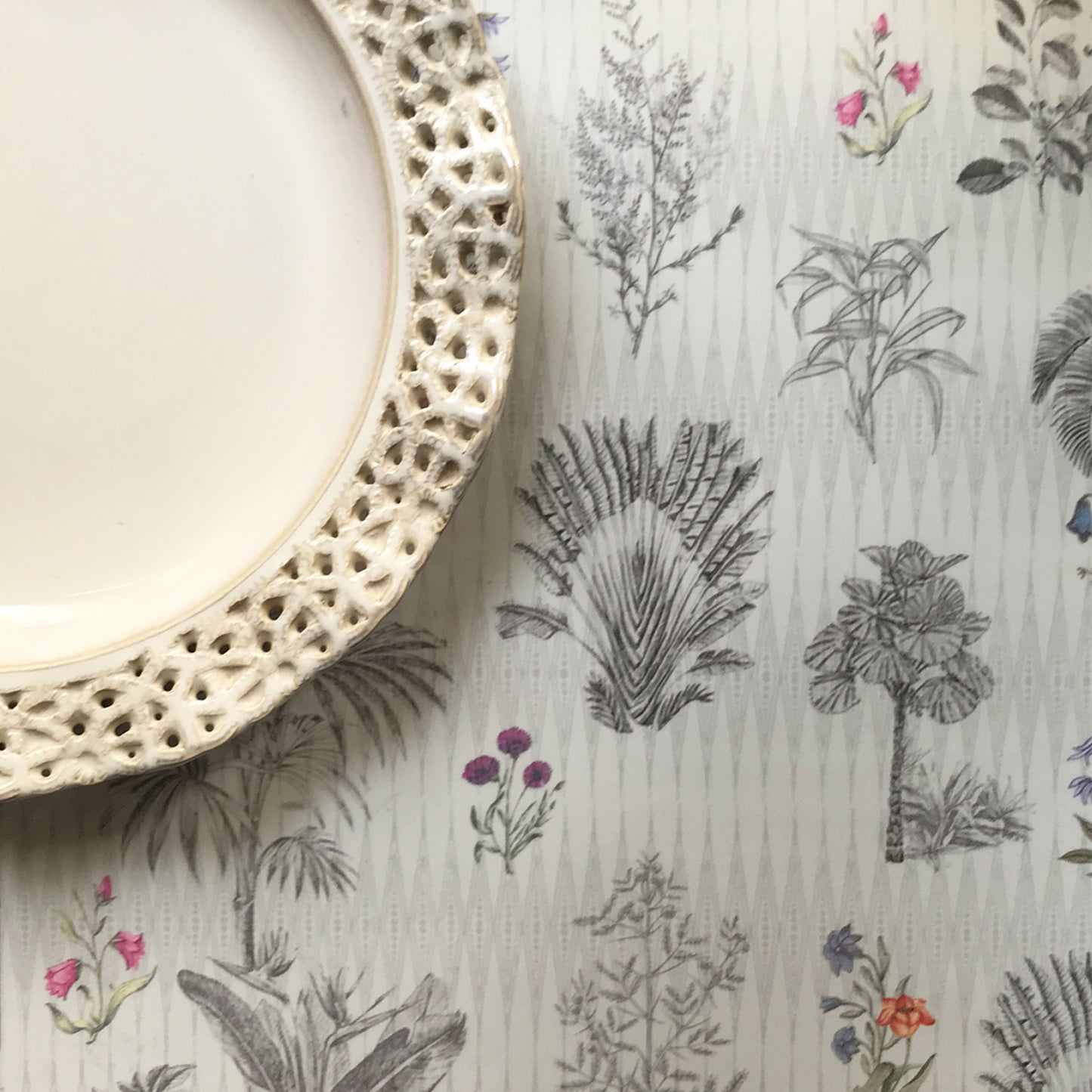 Majestic Elephant Tablemat
