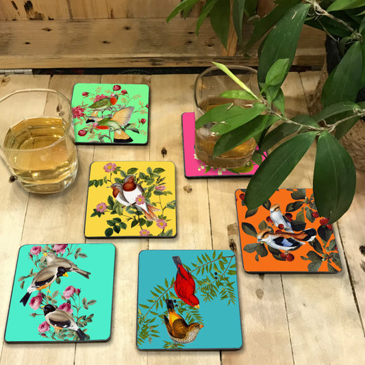 Birds Coaster