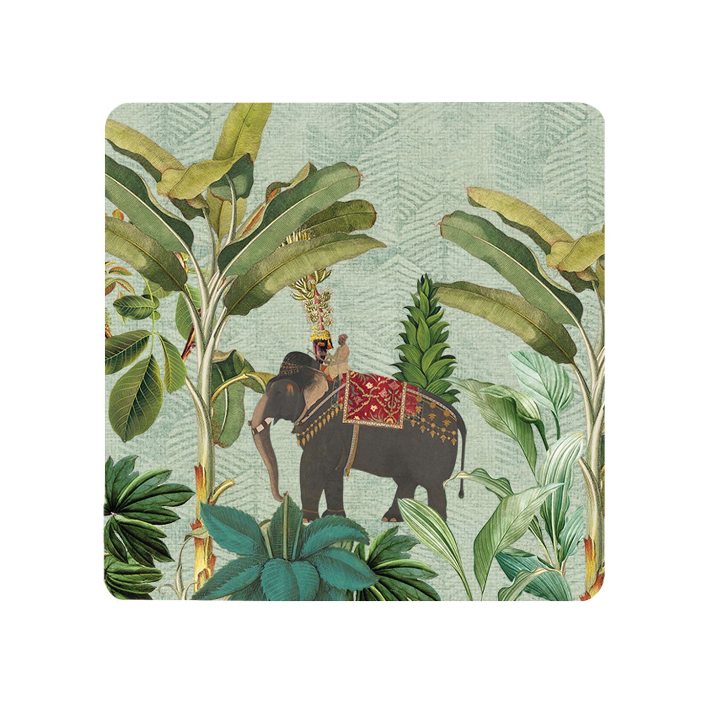 Tropical Elephant Coasters