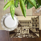Royal Palace Garden Tablemat