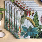 Tropical Elephant Set Of 6 Table Napkins