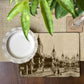 Old Bombay - Cuffe Parade Tablemat