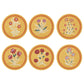Chintz Garden Coasters