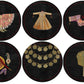 Royal  Coasters
