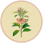 Wilderness Bloom Coasters