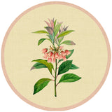 Wilderness Bloom Coasters