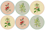 Wilderness Bloom Coasters