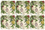 Vintage Floral Bunches Coasters