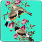 Bird Coaster - Aqua