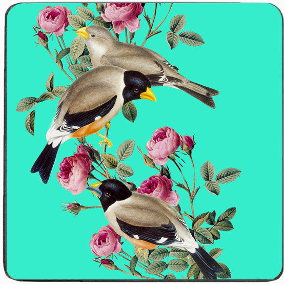 Bird Coaster - Aqua