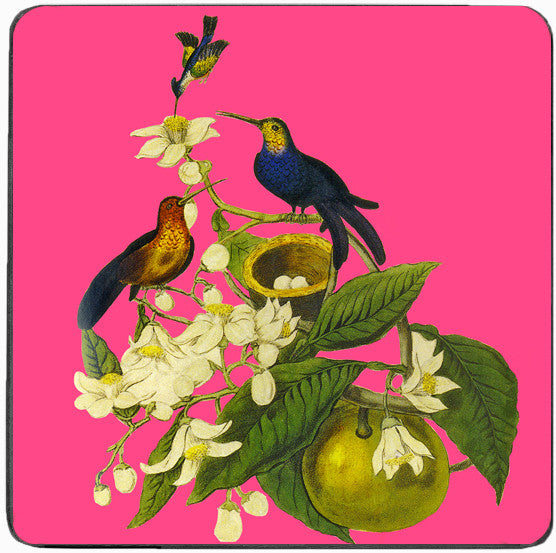 Bird Coaster - Pink