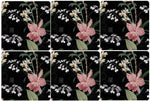 Nocturnal Bloom Coasters