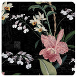 Nocturnal Bloom Coasters